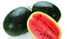 e718吃瓜网.,揭秘娱乐圈最新热点，带你畅游八卦海洋