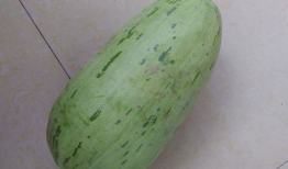 吃瓜网图片像是瓜